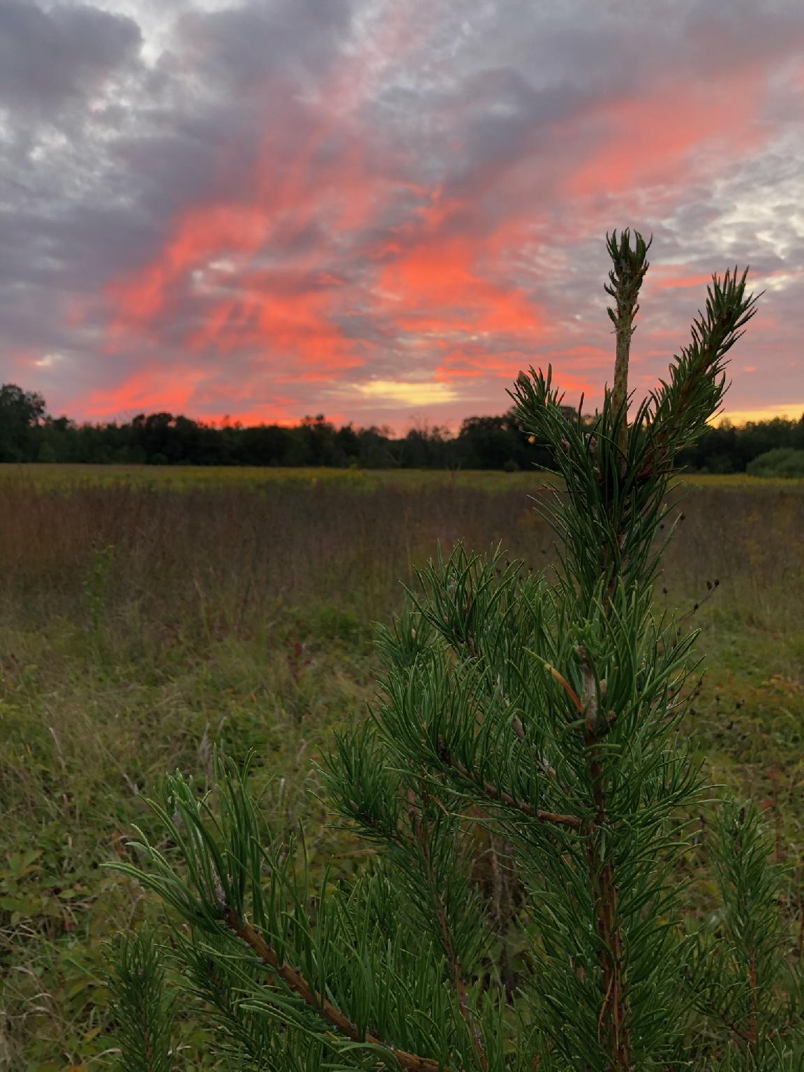 Summer Sunset Monroe County