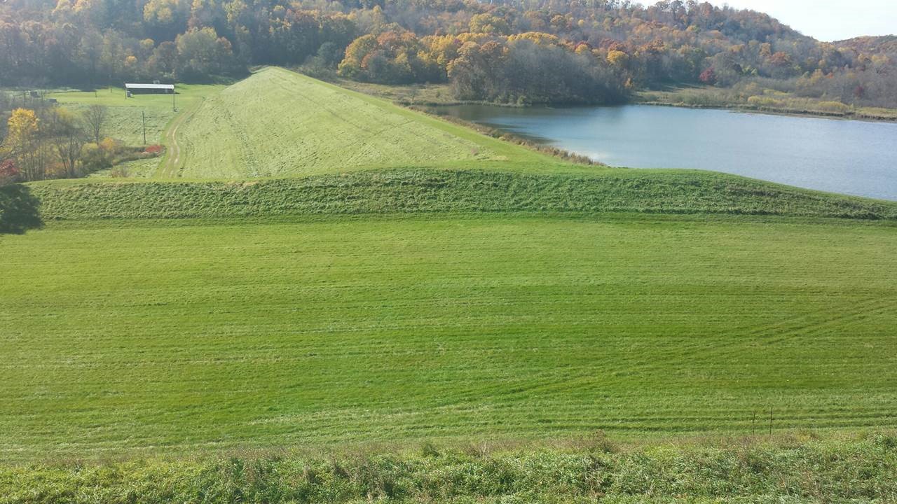 Hay Field